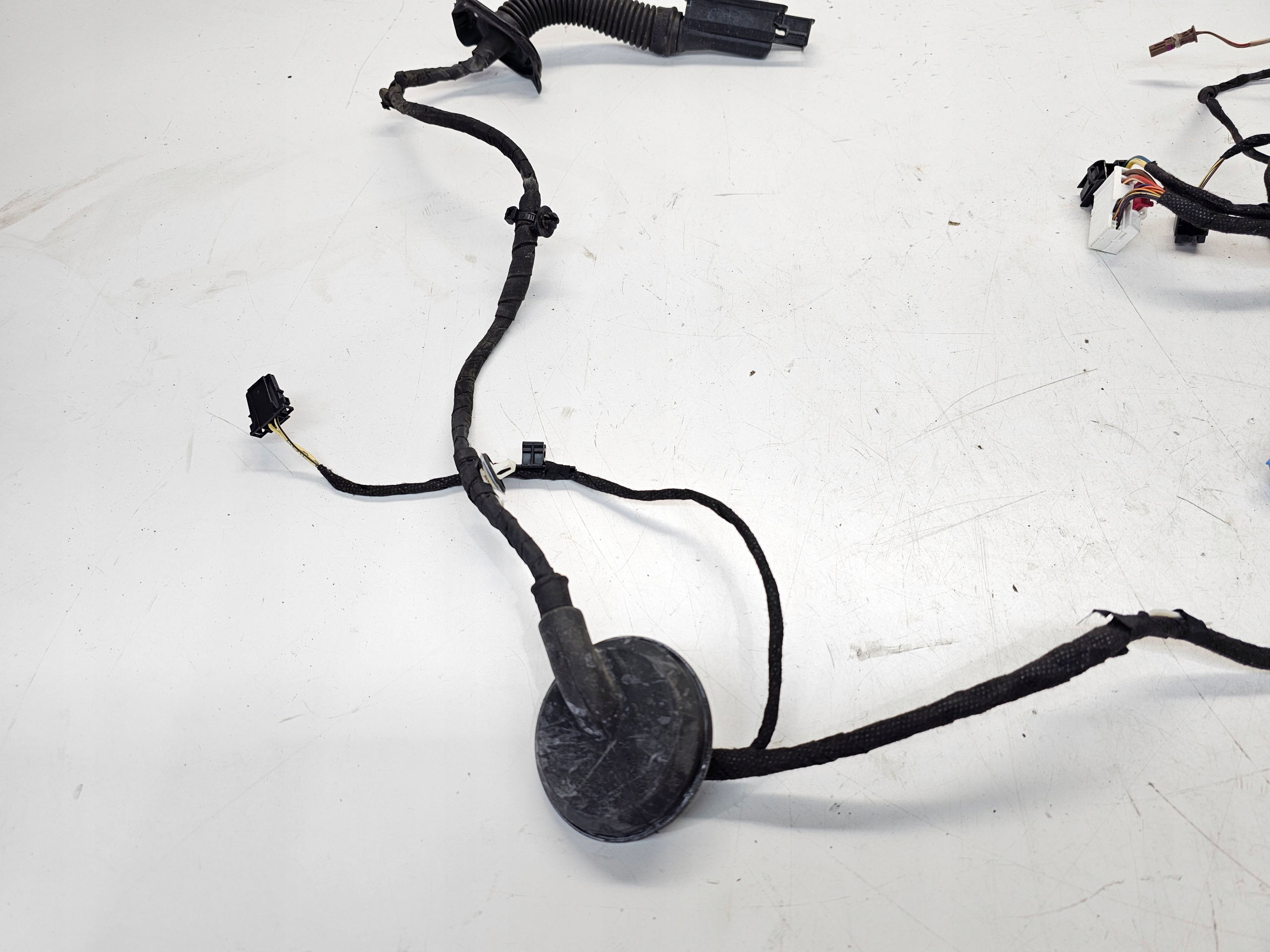 bundle door right front AUDI A4 B9 8W0971030BE
