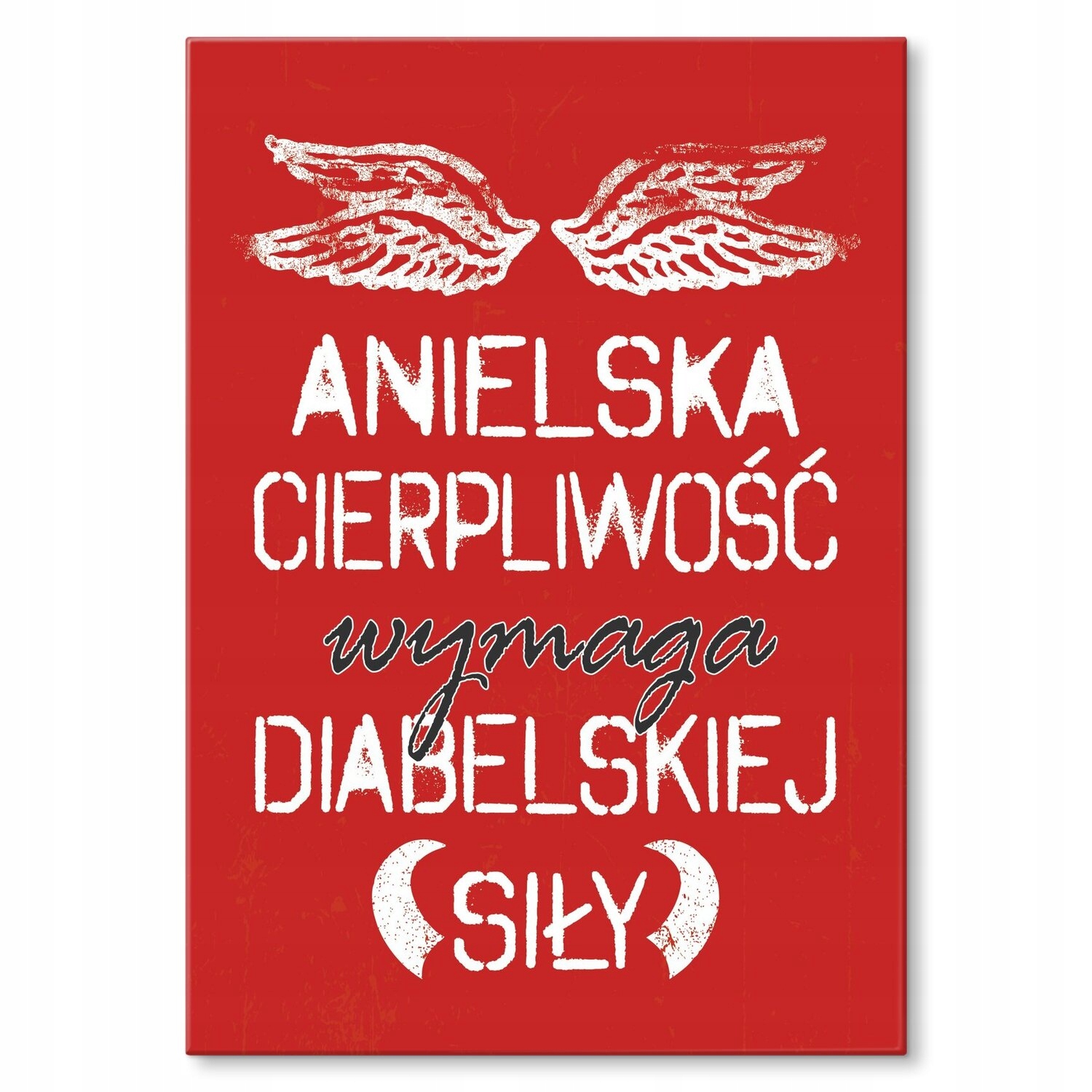 Kovový plakát andělská trpělivost Dárek 42 x 59 cm