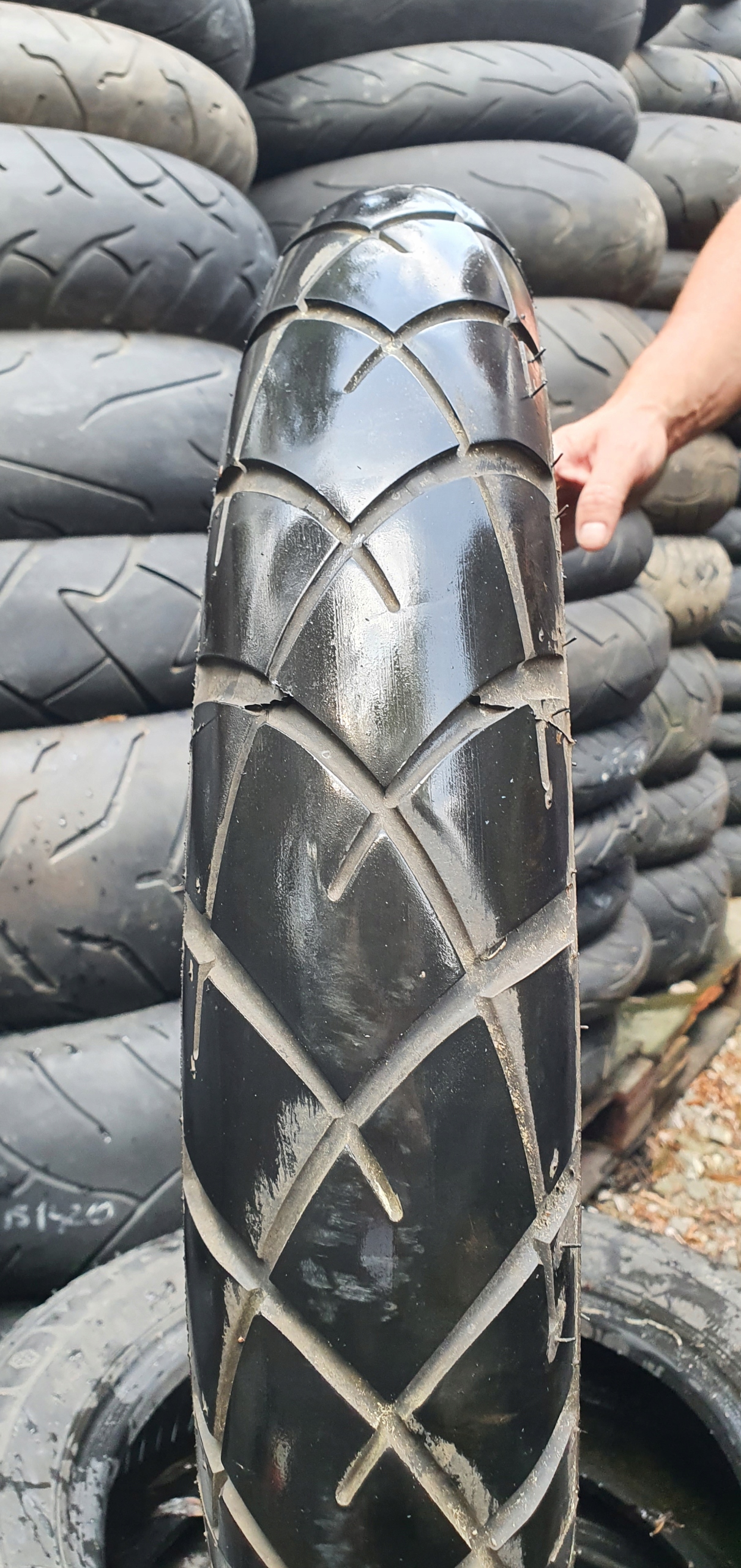 110/80r19 m/c 59v dunlop trailmax tr91