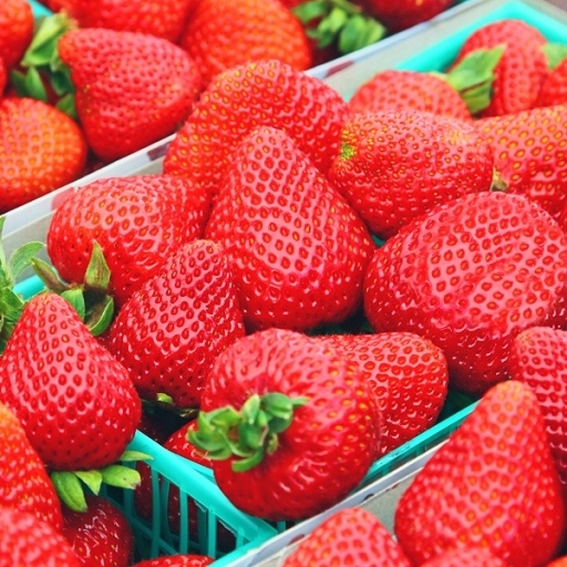 КРАСНАЯ ГИГАНТСКАЯ КЛУБНИКА .