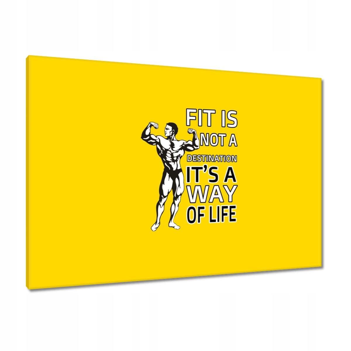 Obrazy 100x70 Fit is way of life Gym