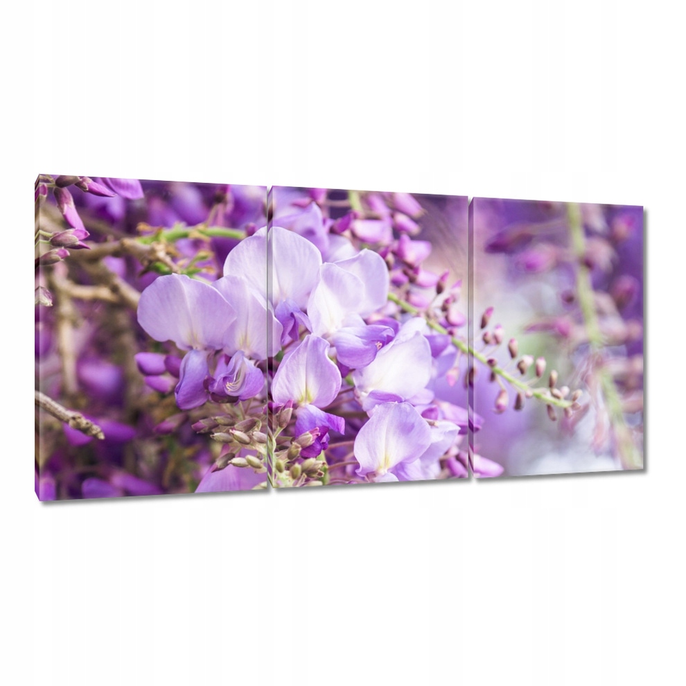 

Obrazy 120x60 Fioletowe kwiatki Kwiaty