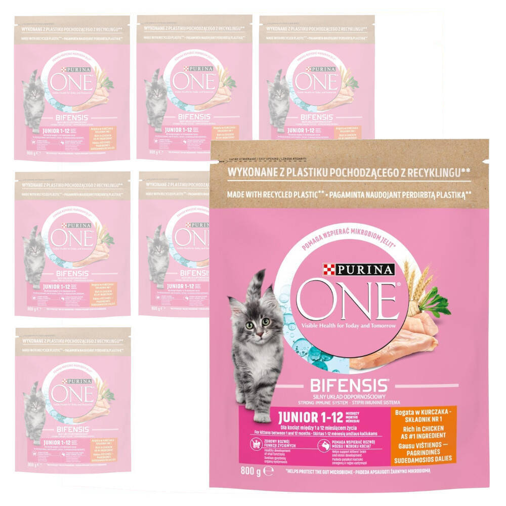 Levně Purina One Bifensis Junior Suché Krmivo pro koťata s kuřecím masem 8x800 g