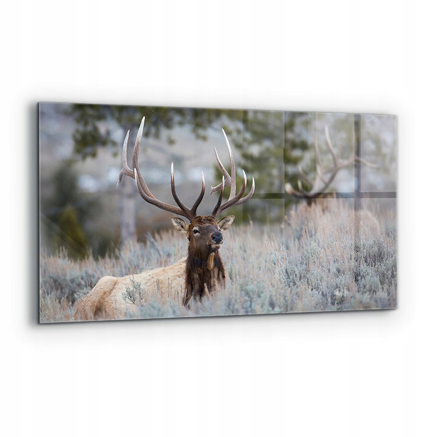 Panel Kuchyňa Izba Jeleň Divoká príroda 120x60 cm