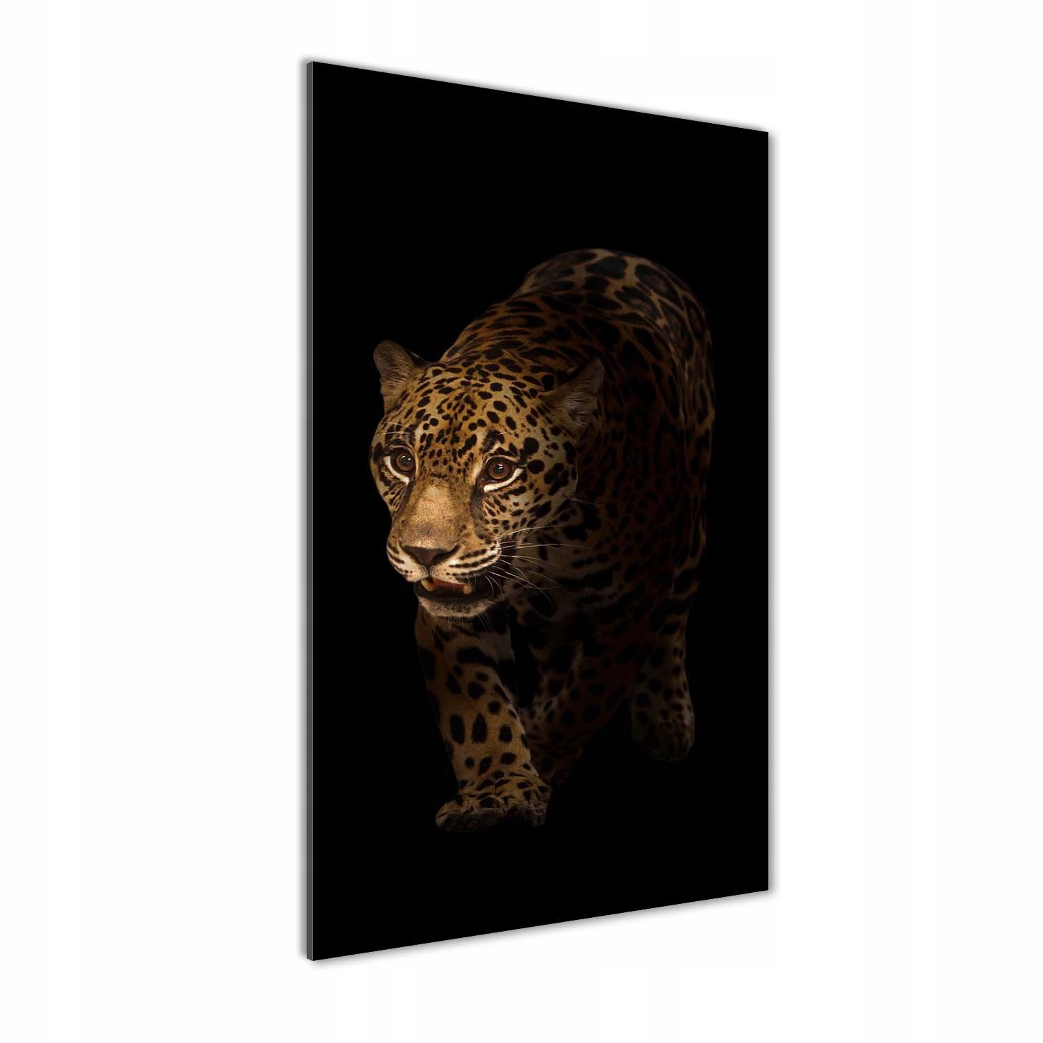 

Foto obraz szkło akrylowe na ścianę Jaguar 70x140
