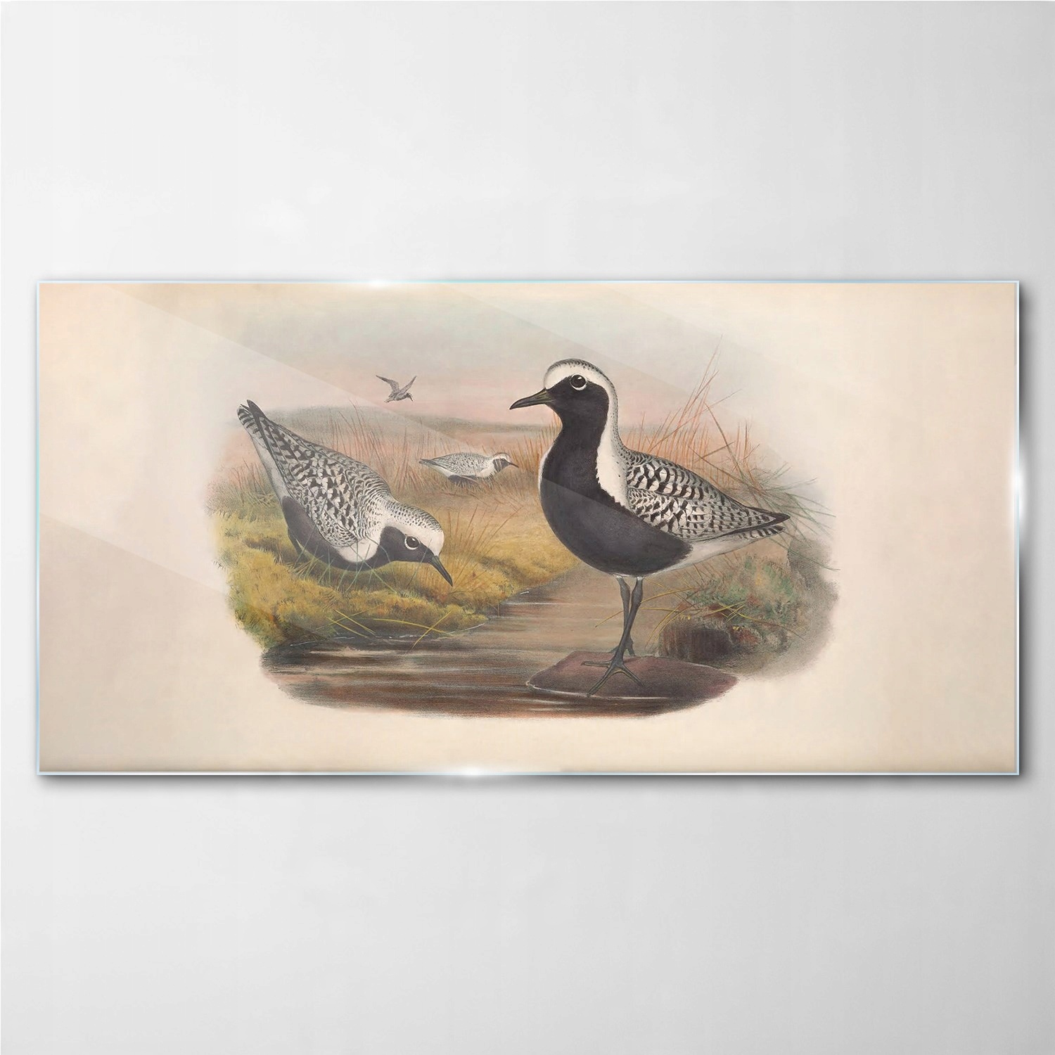 

Obraz na ścianę szklany Ptaki zwierzęta 140x70 cm