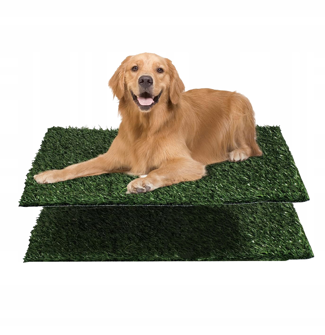 Levně Realistická podložka pro výcvik psů na z umělé trávy 63x51 cm Umělý trávník pro domácí mazlíčky