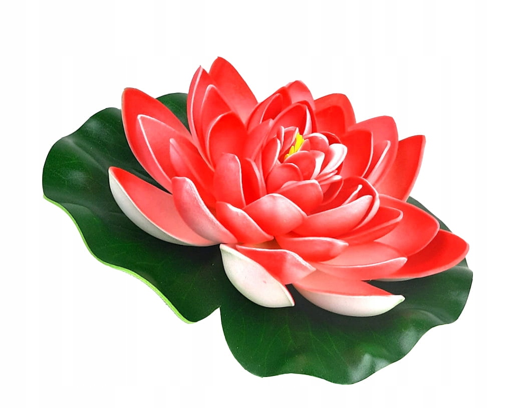 

Lilia Wodna Do Oczka Sztuczna Biało Czerwona 17cm