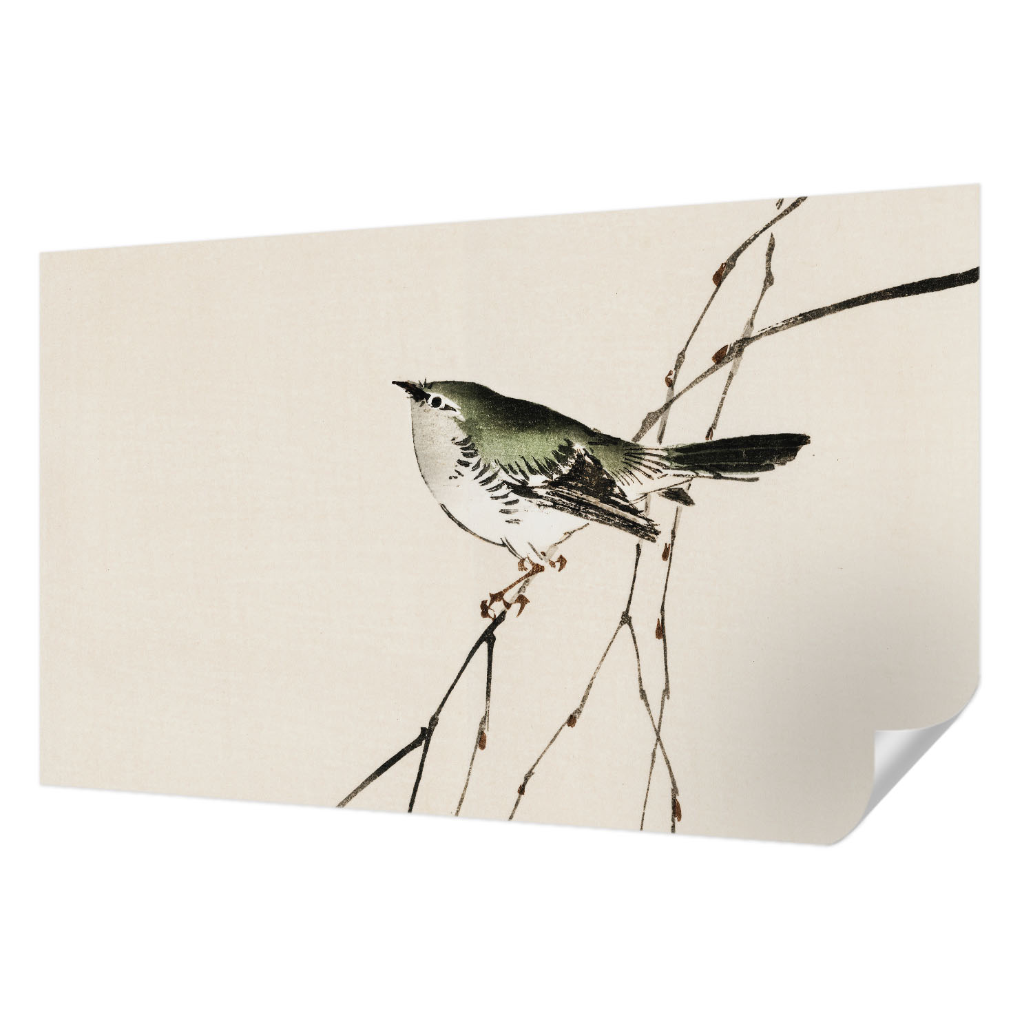 Fototapeta Samolepicí Rychlá Metamorfóza Harmonický pták 416 x 254 cm