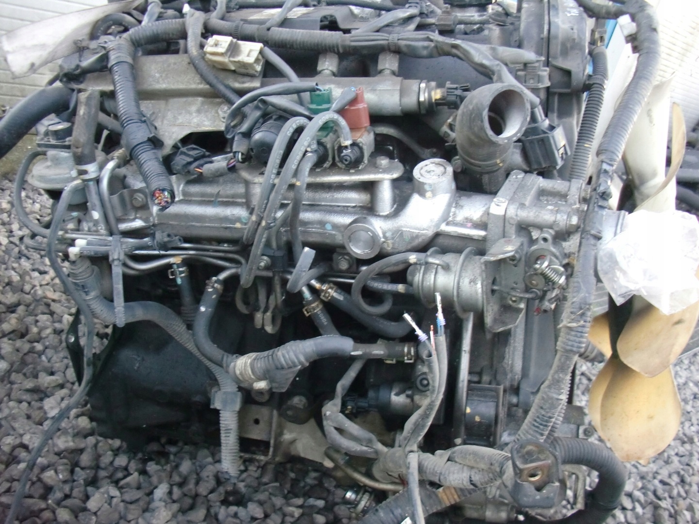 FORD RANGER 3.0TDCI 2008 WE05 engine 159 TYS KM