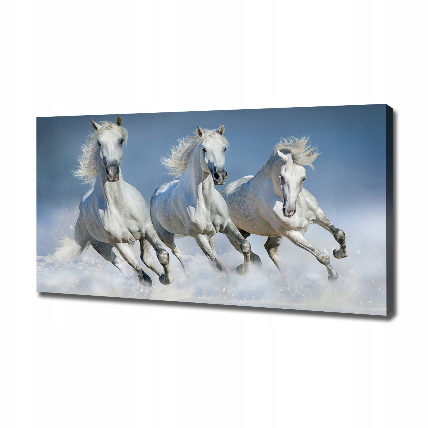 

Foto obraz na płótnie Konie w galopie 120x60 cm