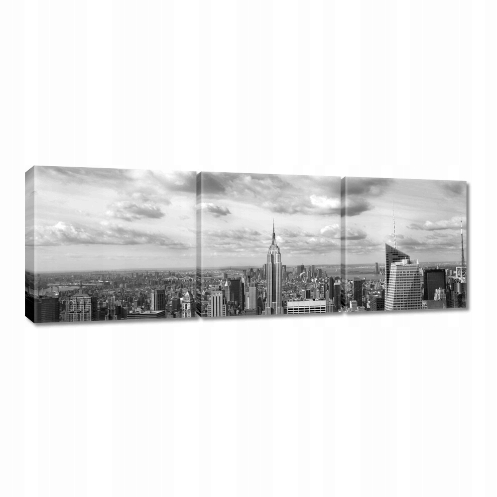 

Obrazy 60x20 Manhattan