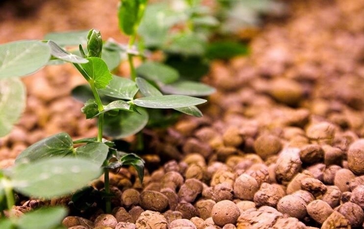 Keramzyt Ogrodniczy Drenaż Ceramiczny 50L Podłoże Pojemność 50 l