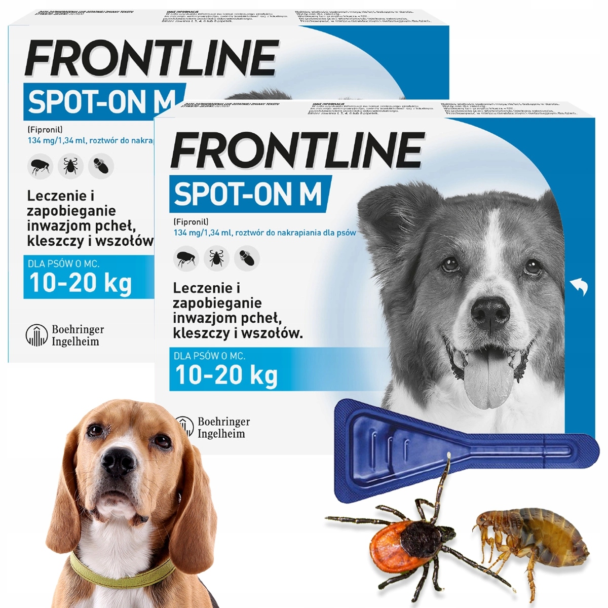 Frontline Spot-on krople Kleszcze Pchły dla średniego psa 10-20 kg 6 pipet