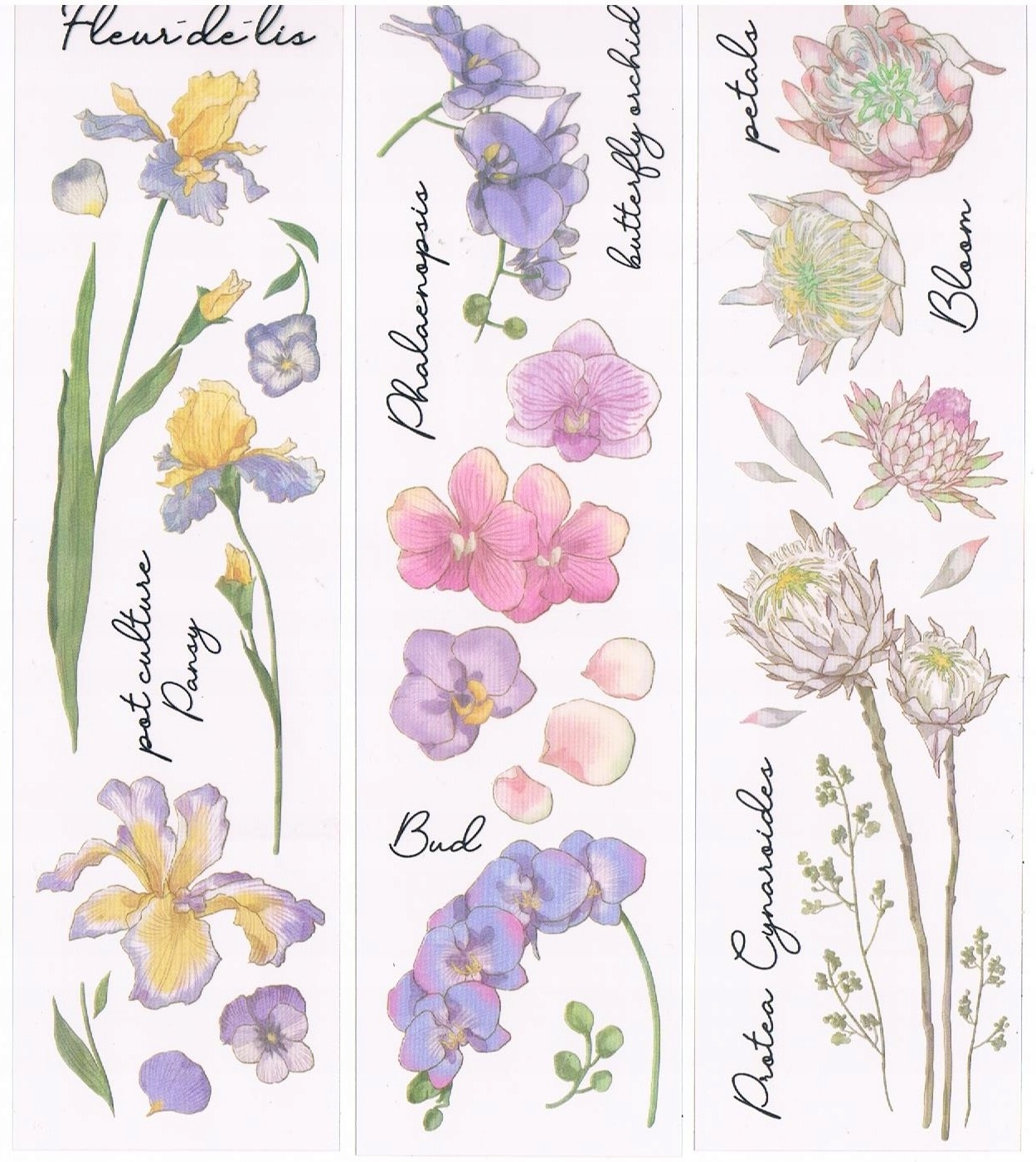Naklejki Foliowe Scrapbooking 6ARK Kwiaty Kwiatki