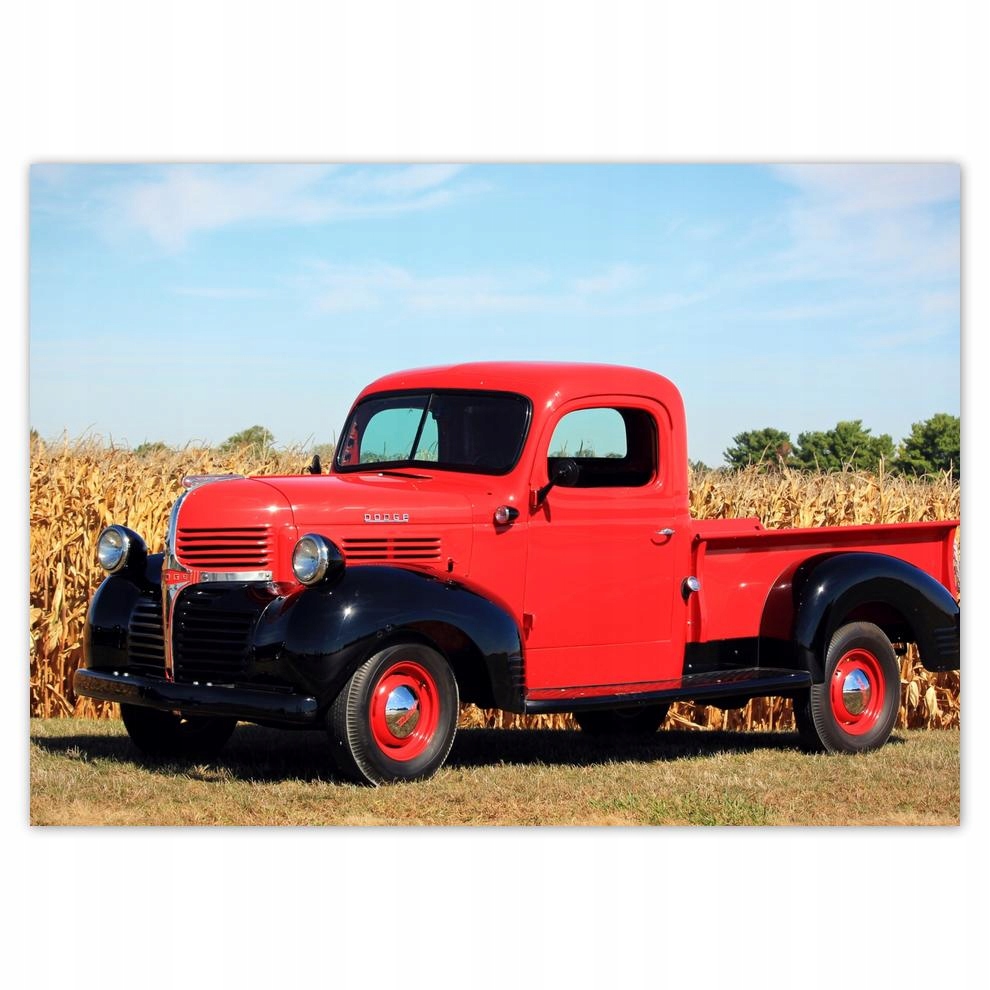 

Naklejki 70x50 Ford samochód auto