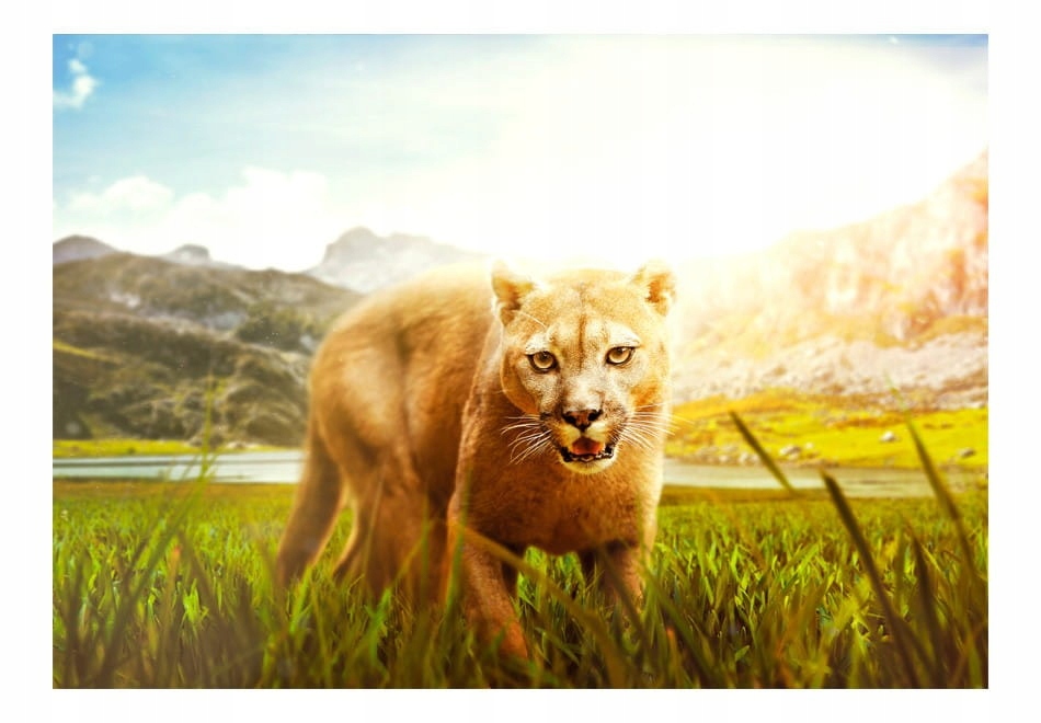

Fototapeta - Watch out! - 400X280