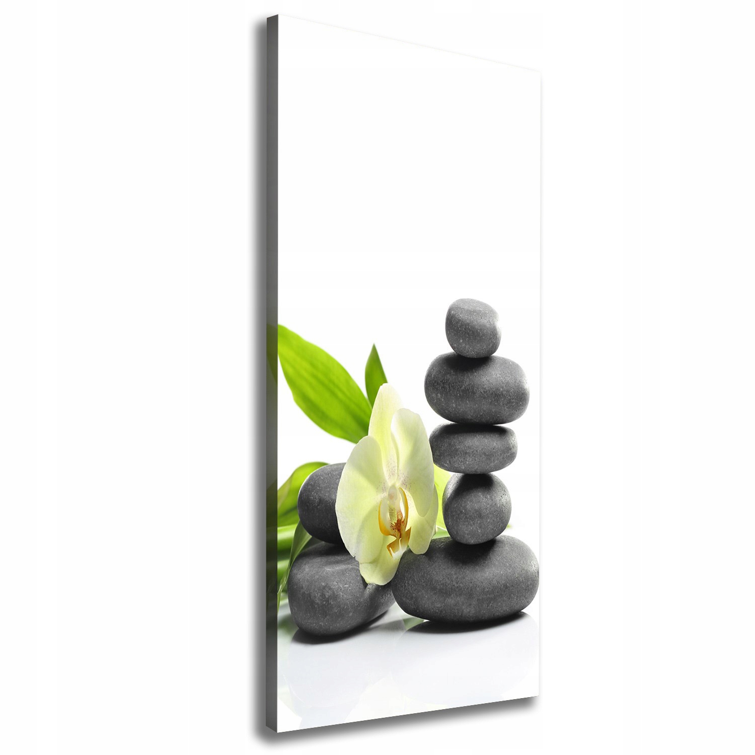 

Foto obraz na płótnie Orchidea i kamienie 50x125cm