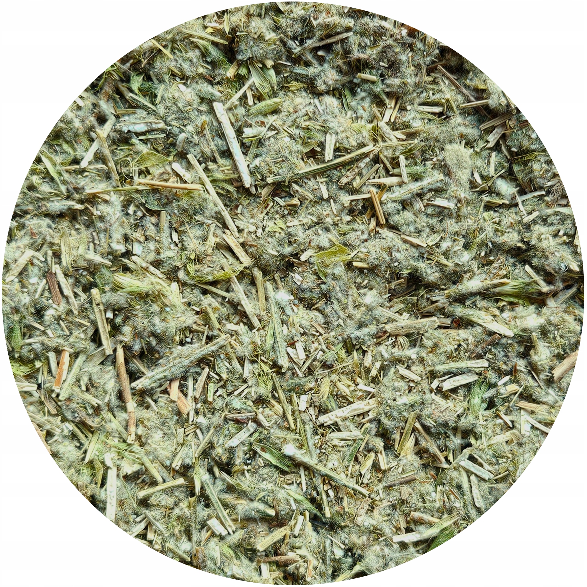 Gojnik květ a řezaný stonek sušený (Sideritis scardica) Mystic.Garden 1 kg