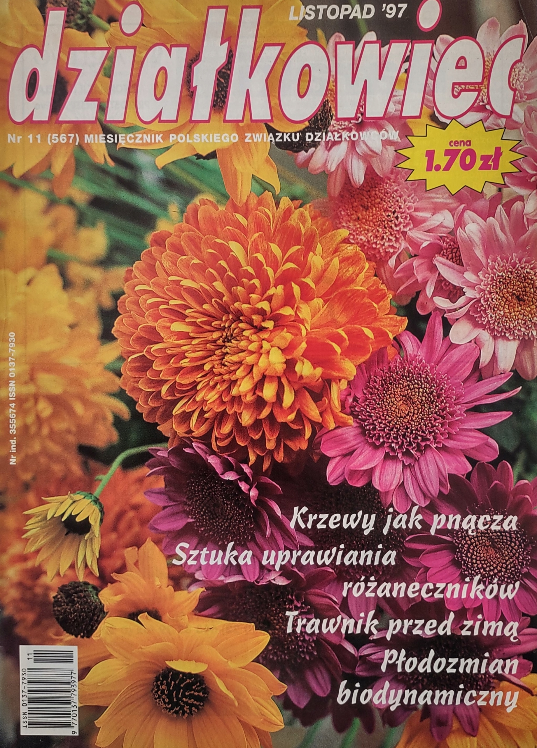 Działkowiec 11 1997