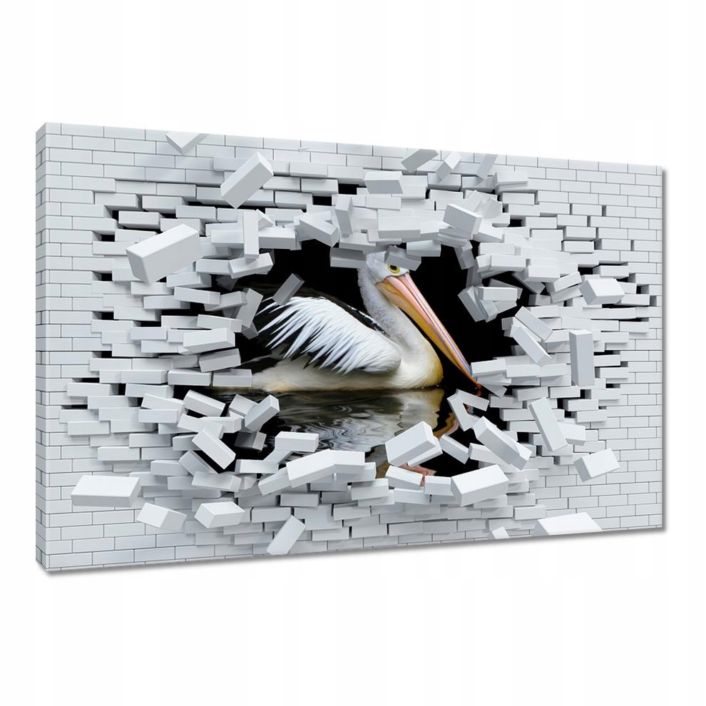 

Obrazy 60x40 Kormoran