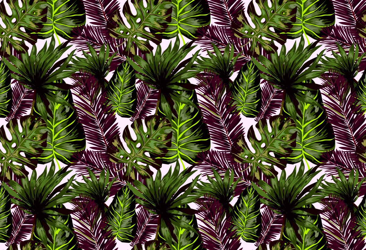 

Fototapeta Flizelinowa Liście Monstera - 104x70