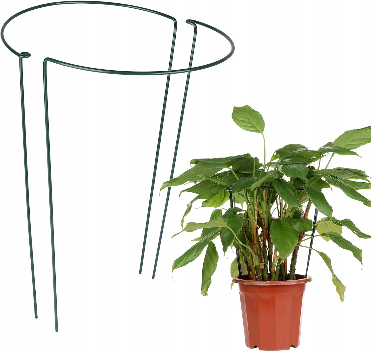 Wspornik, PODPORA PIERŚCIENIOWA pergola PODPÓRKA ROŚLIN KWIATÓW 60CM ⌀20cm