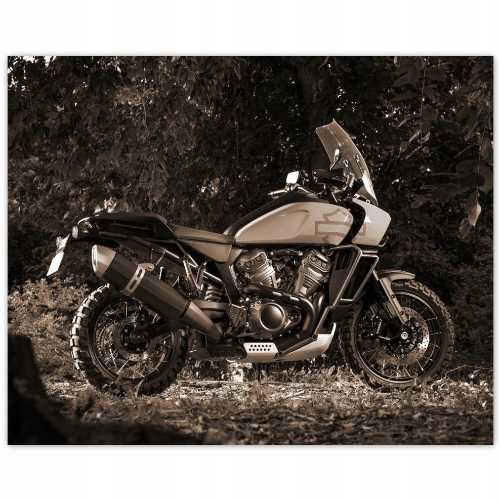 

Plakat 50x40 Harley Davidson Motocykl
