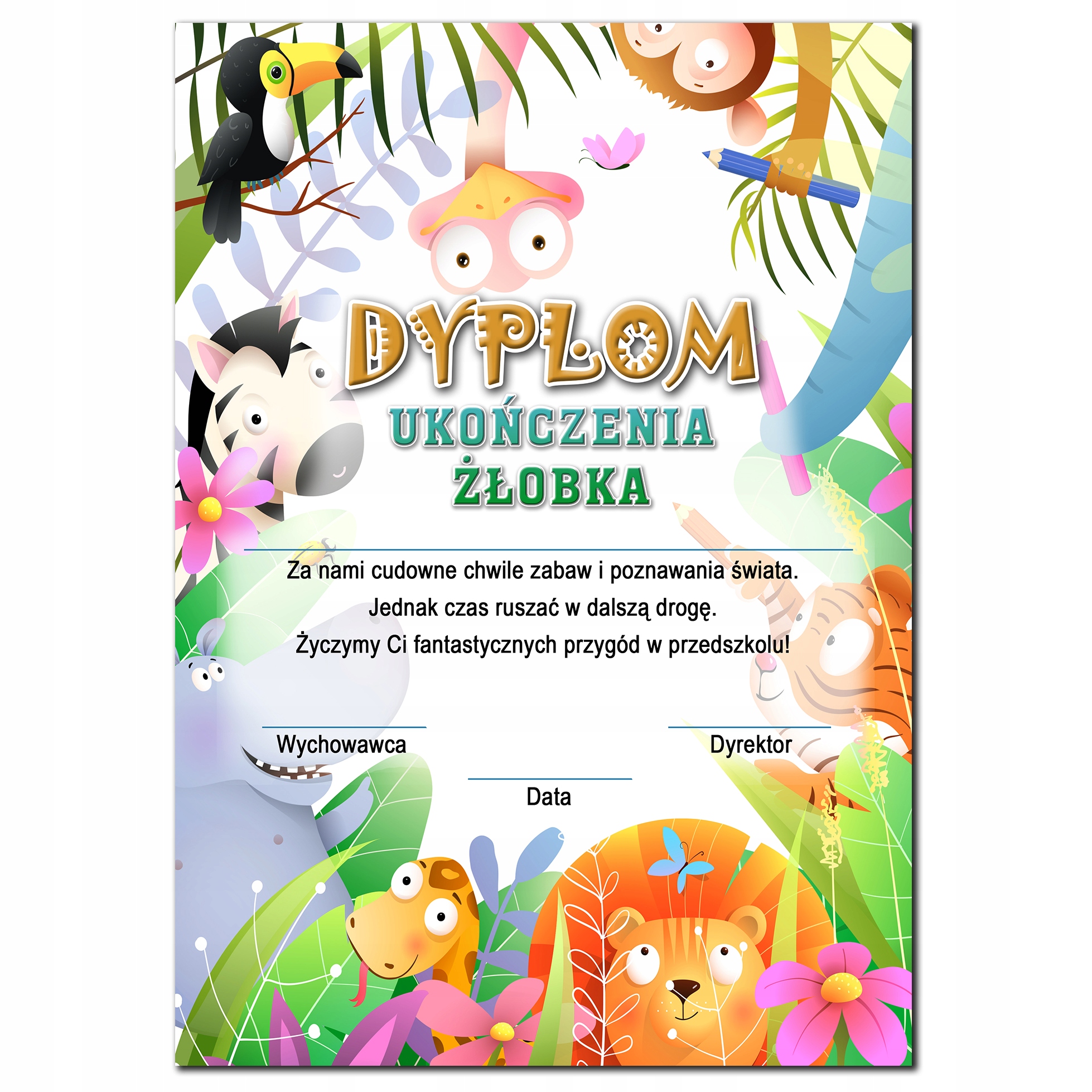 

Dyplom Ukończenia Żłobka A4 wz19