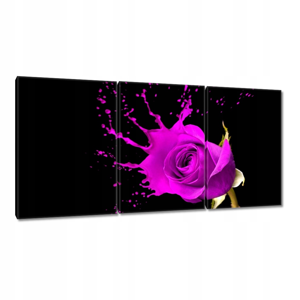 

Obrazy 120x60 Fioletowa róża z efektem