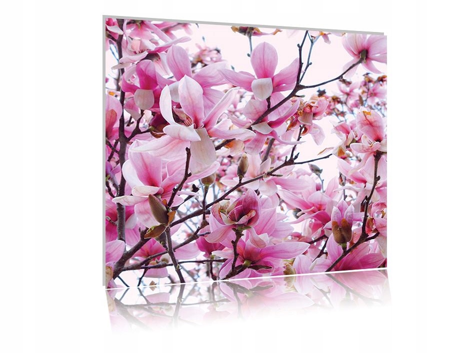 

Obraz szklany na szkle Magnolia 02 30x30