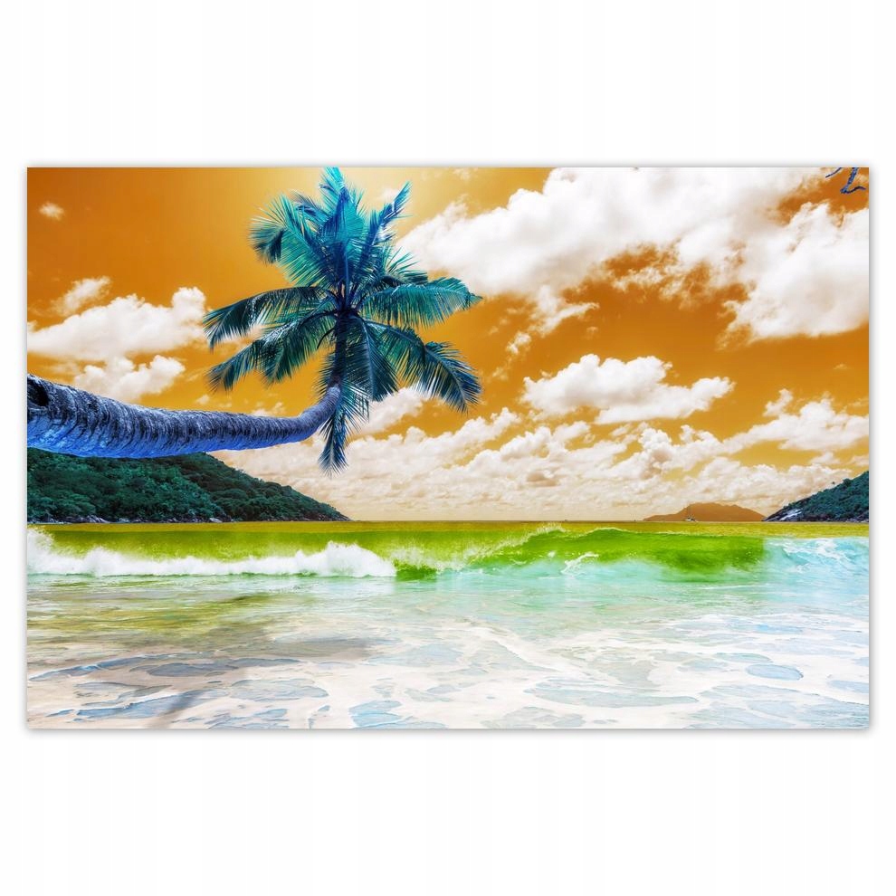 

Plakat 93x62 Tropiki Pejzaż Palma