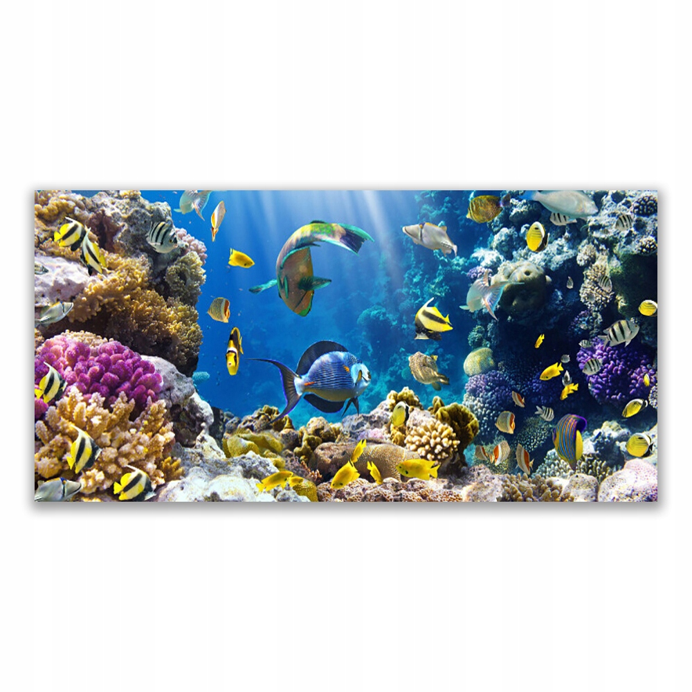 

Fotoobraz na prezent 140x70 Rafa Koralowa Natura
