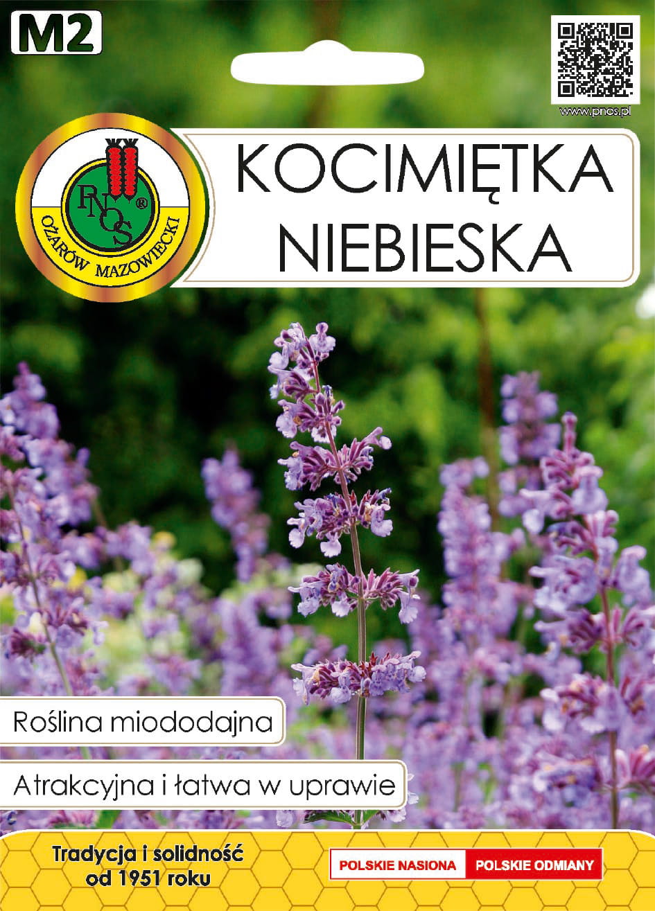 

Kocimiętka niebieska roślina miododajna