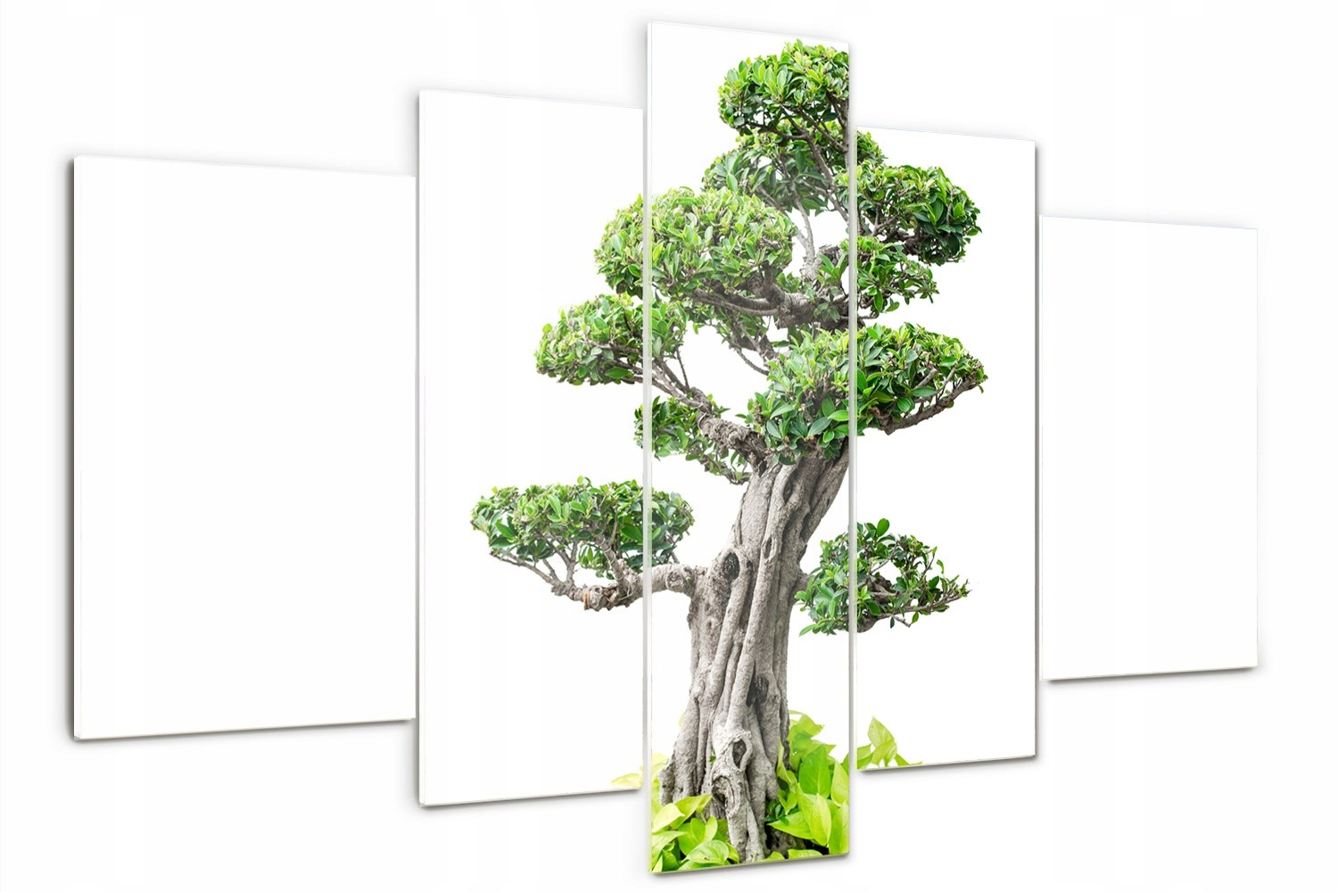 

Foto Obraz szklany duży tryptyk Drzewo bonsai