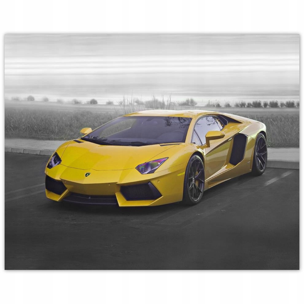 

Plakat 50x40 Sporotwe auto