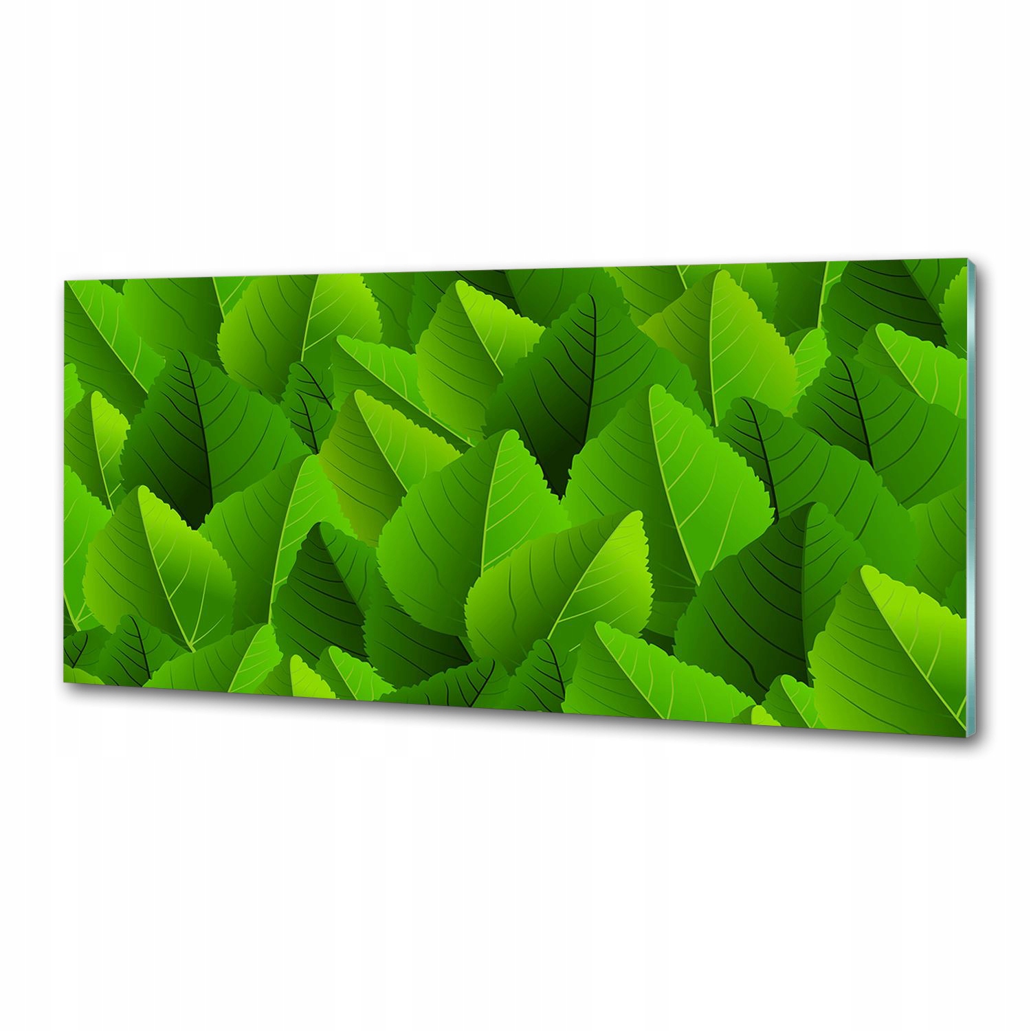 Panel do kuchyně Zelené listy 125 x 50 cm Lepidlo