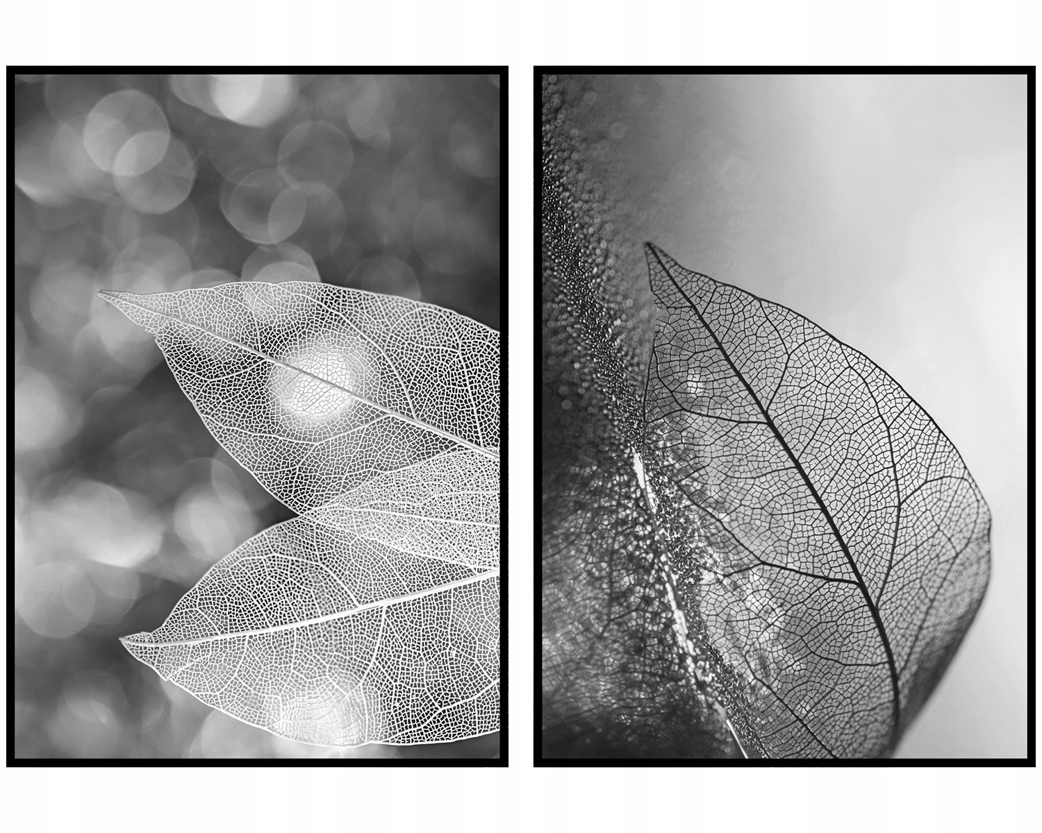 Plakáty foto listy černobílé 2ks 50x70cm
