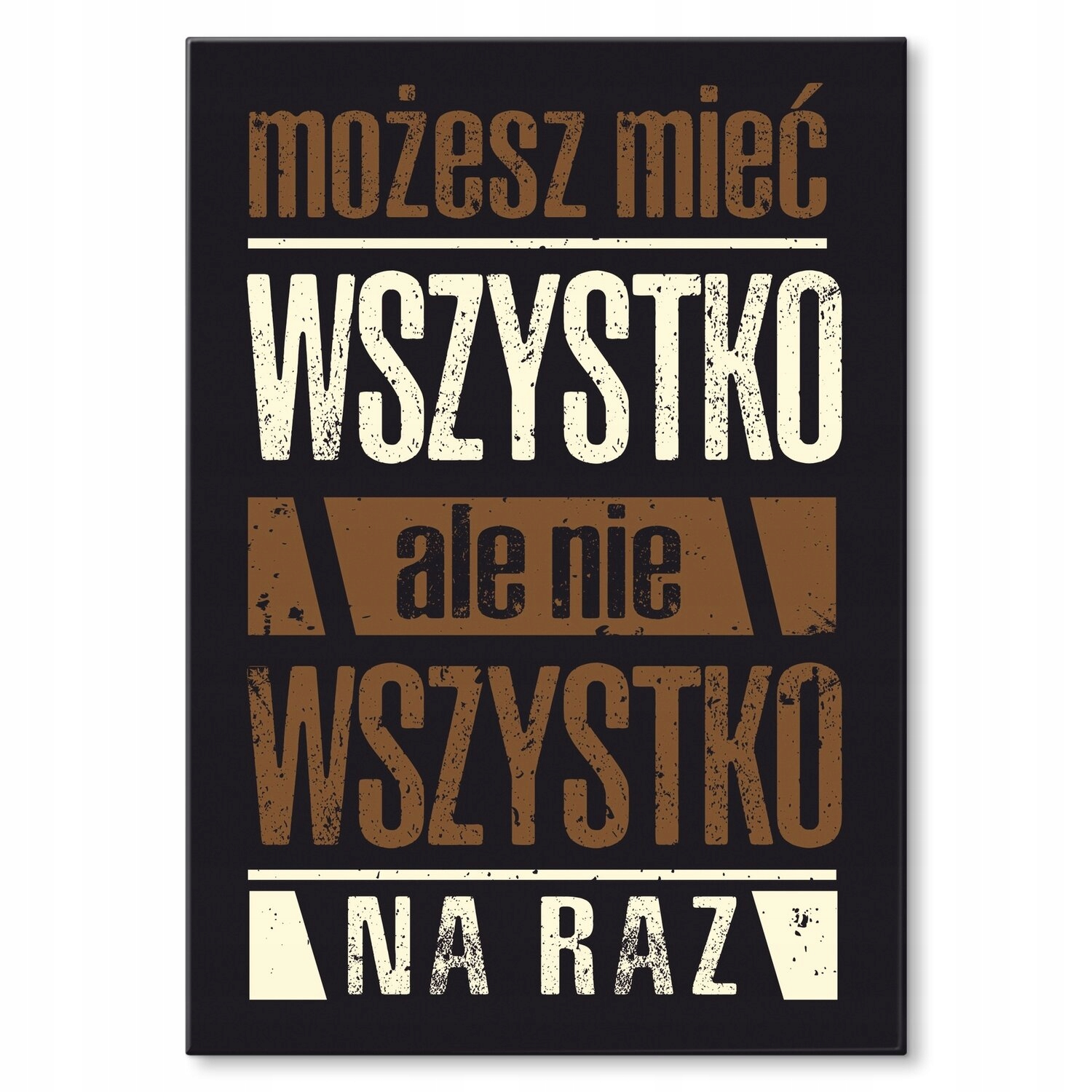 Kovový plakát Můžete mít všechno Dárek 30 x 42 cm