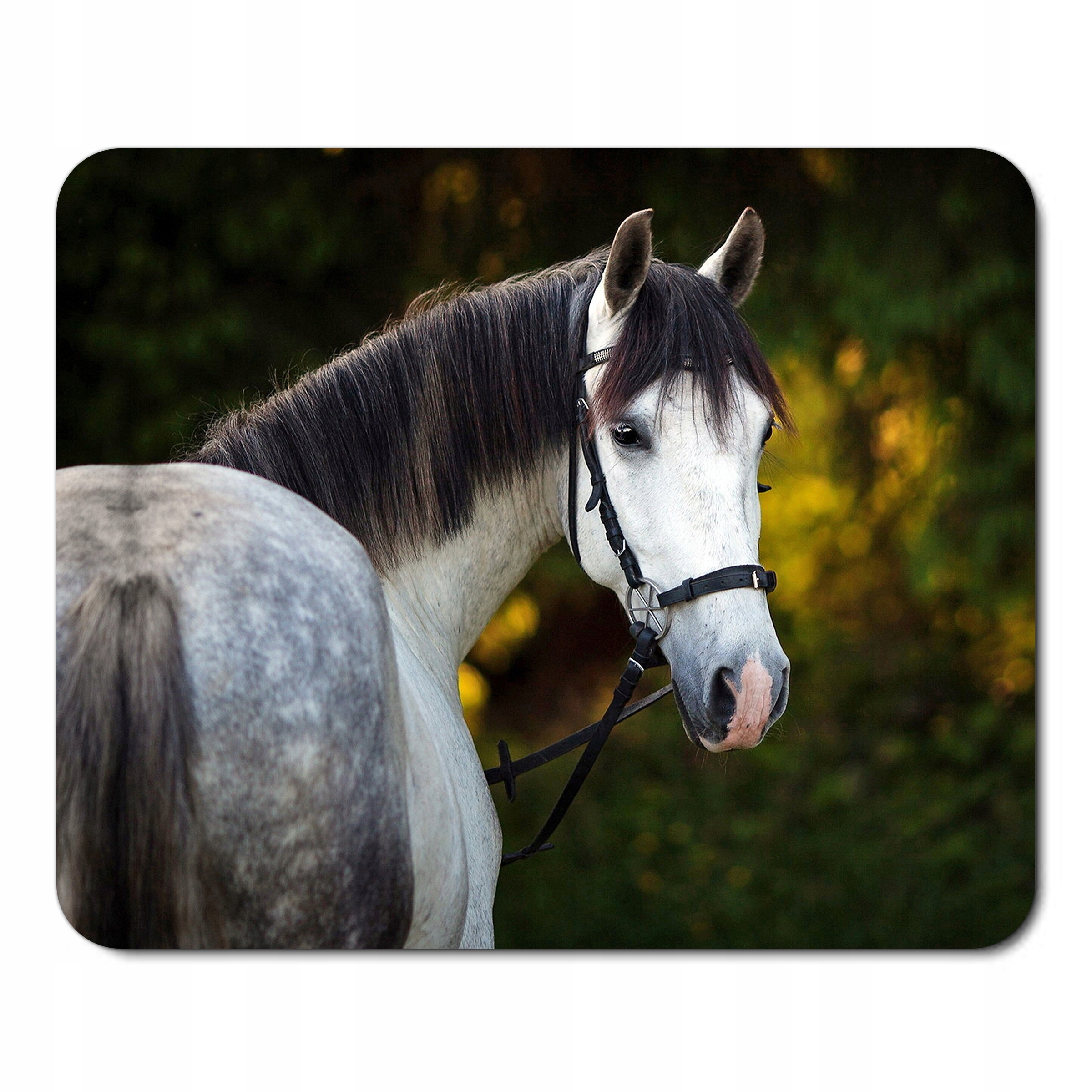 

Podkładka Pod Mysz Myszkę Koń Konie Koniki Horse