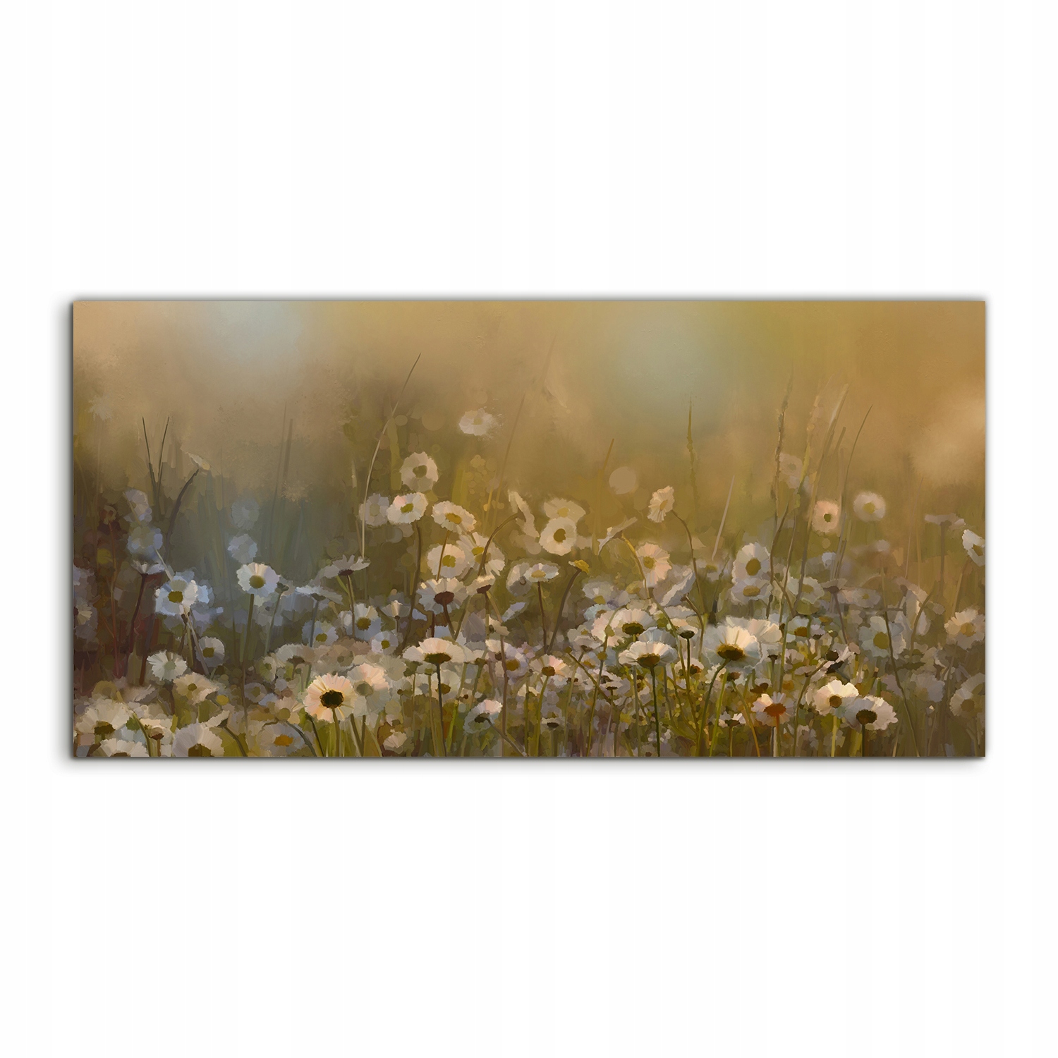 

Fotoobraz 100x50 ścienny Vintage Łąka Abstrakcja