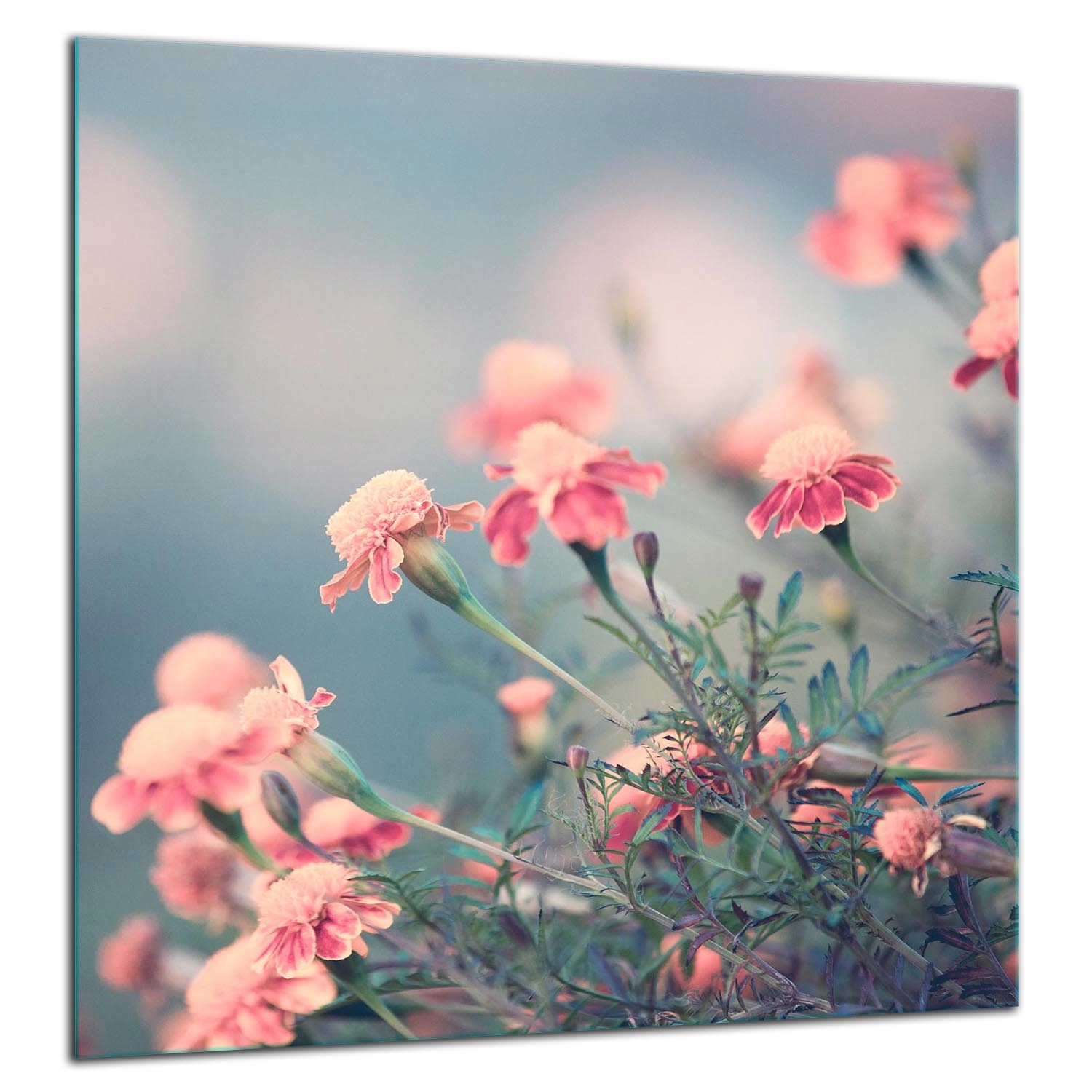 Skleněný Ochranný Panel Do Kuchyně 60x65 Květiny Lacobel 7v1