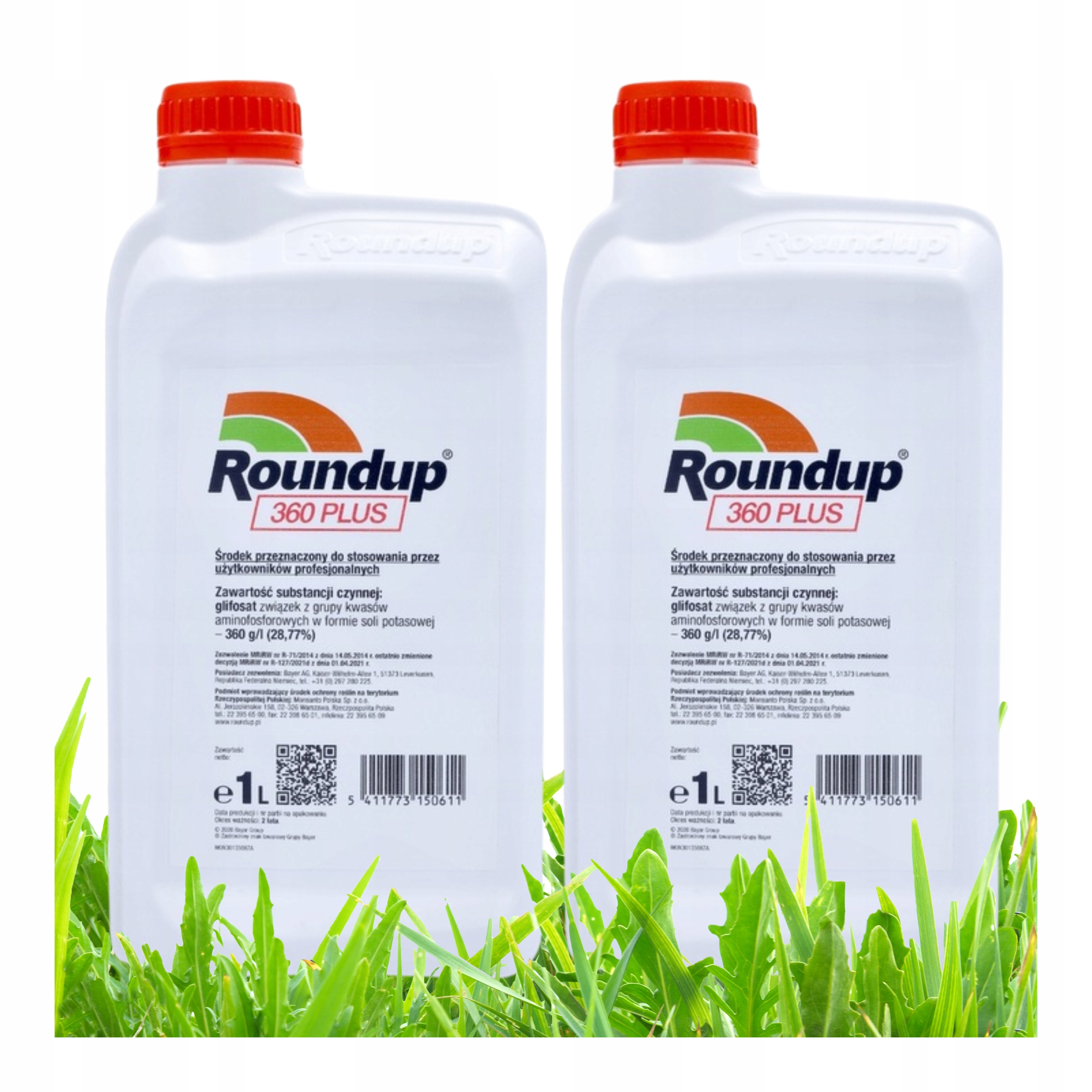 Roundup na Chwasty Randap środek na chwasty glifosat koncentrat 2x1L Bayer