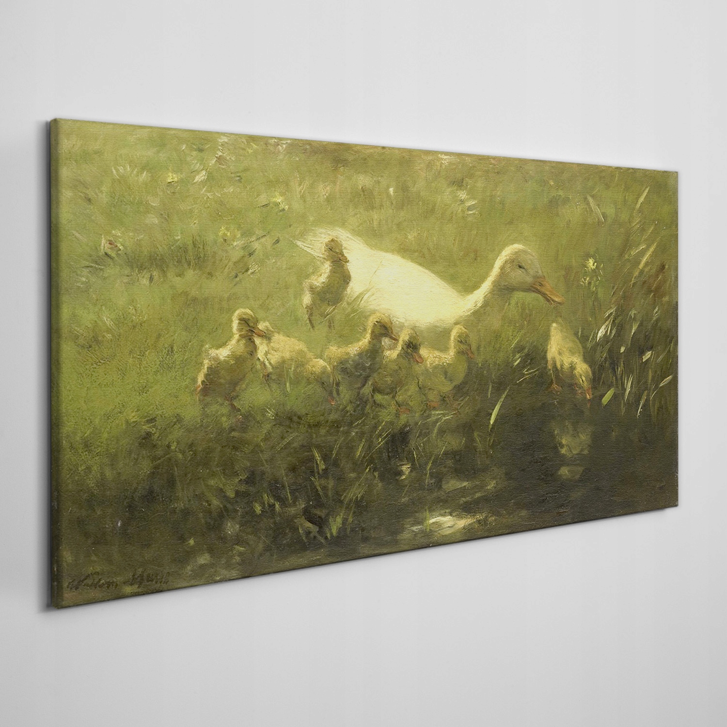 

Obraz płótno Zwierzęta kaczki trawa natura 120x60