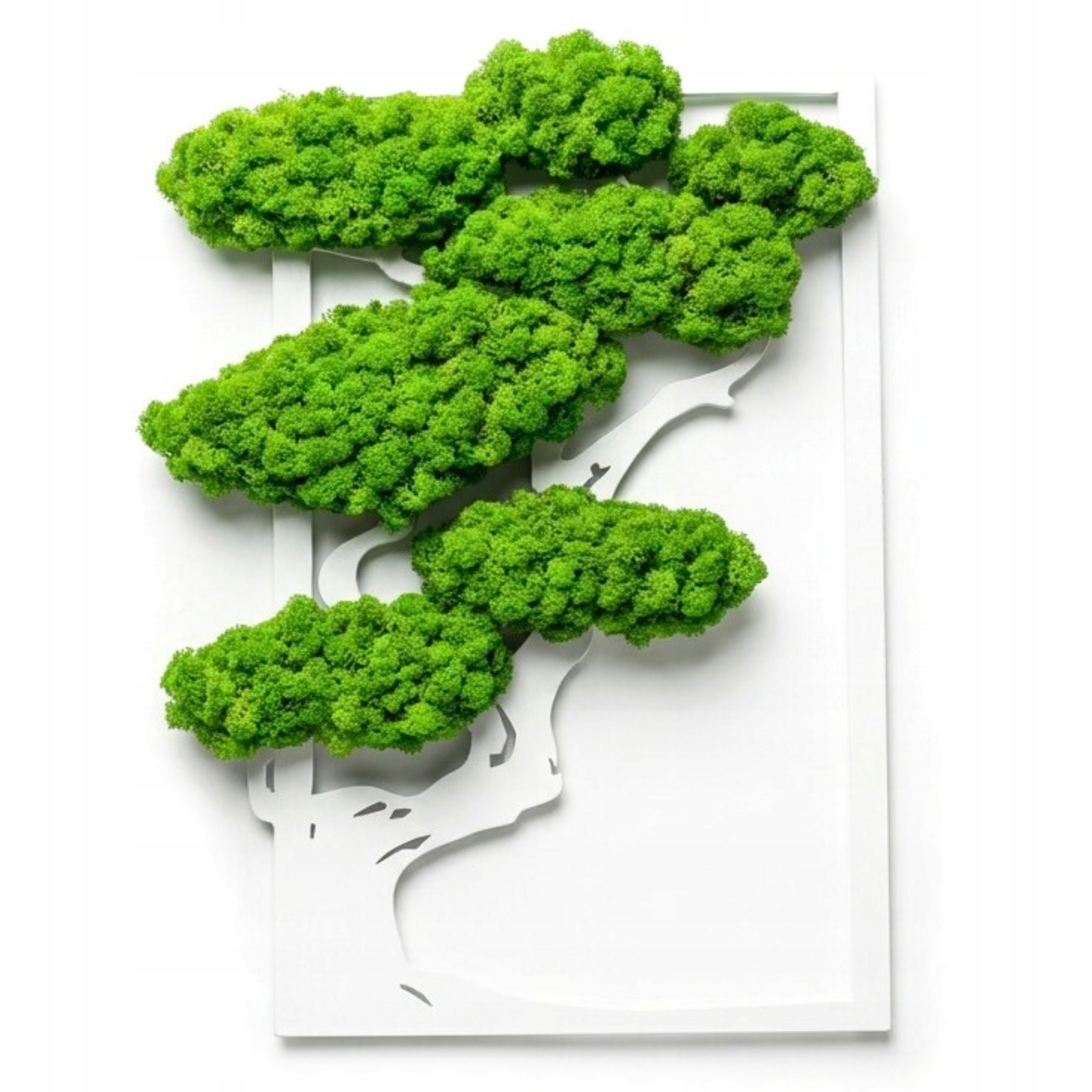 Strom Z Mechu chrobotka Obraz živý mech Stabilizovaný Bonsaj Dekorace