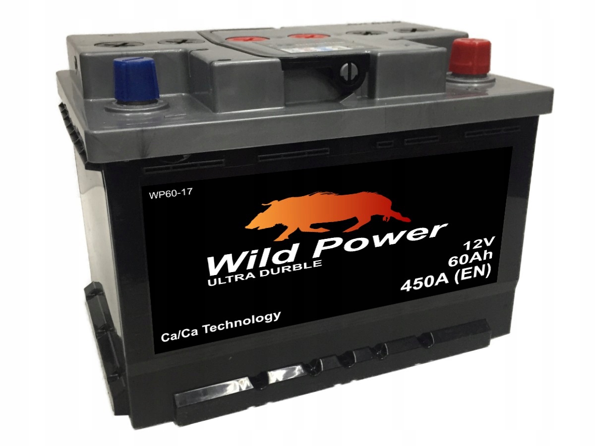 Akumulator Wild Power 12V 60Ah 450A P+ WP60S za 274 zł z Kraków -  Allegro.pl - (12886606431)