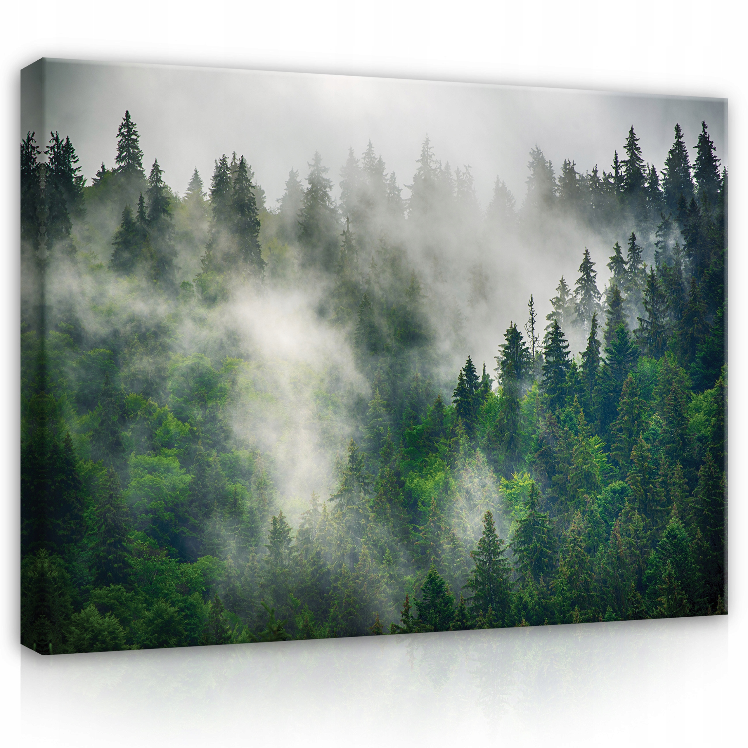 Obraz Les v mlze Krajina Stromy Pohled 120x80