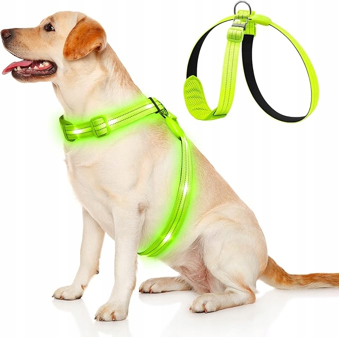 Levně Postroj pro psa s Led osvětlením Usb Modrý Velikost M