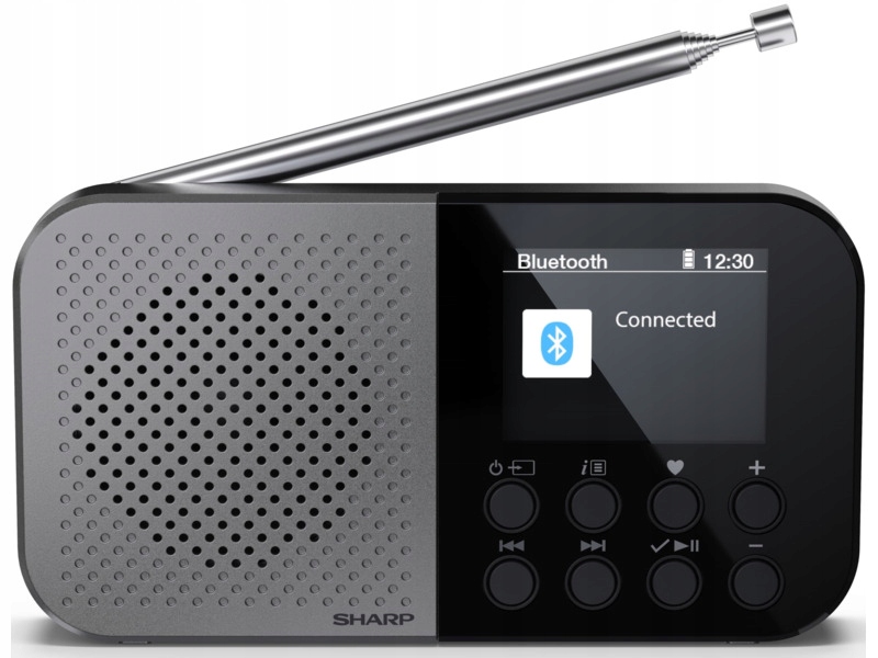 Radio Sharp DR-P520 Cyfrowe Przenośne Szary