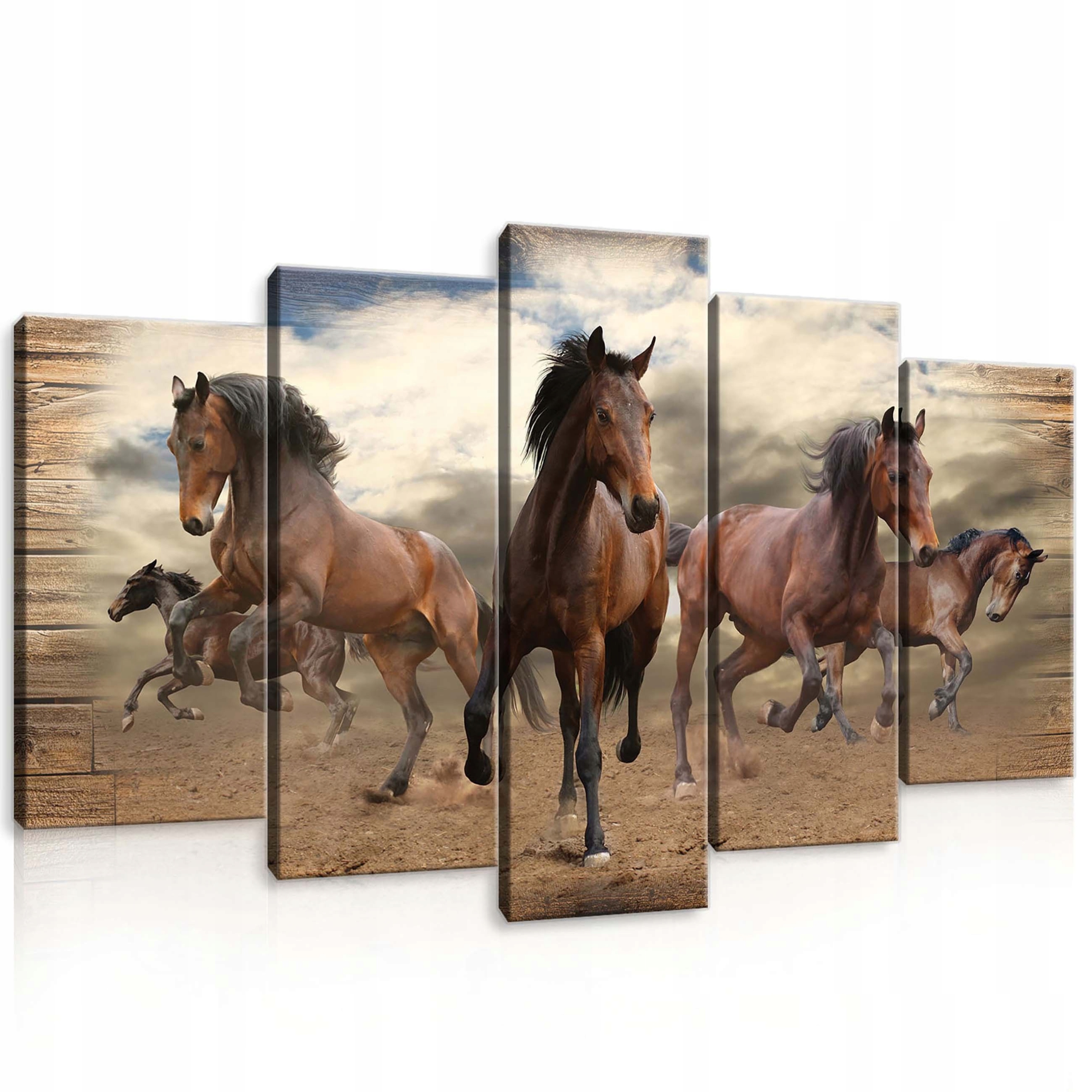 Obraz 100x60 Koně tabun divoká zvířata svoboda příroda síla pohyb dynamika